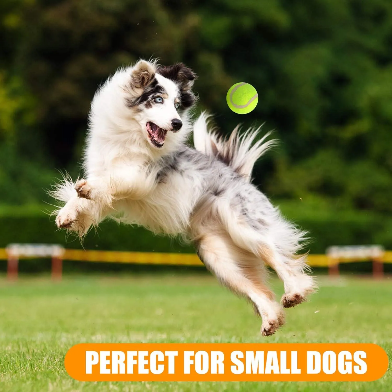 20 Pcs Pet Dog Tennis Ball Premium Fetch Toy 2 Inch Mini Tennis Ball for Puppy Small Dog