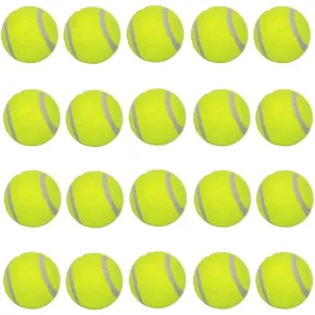 20 Pcs Pet Dog Tennis Ball Premium Fetch Toy 2 Inch Mini Tennis Ball for Puppy Small Dog