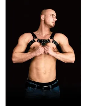 Costas Chest Harness