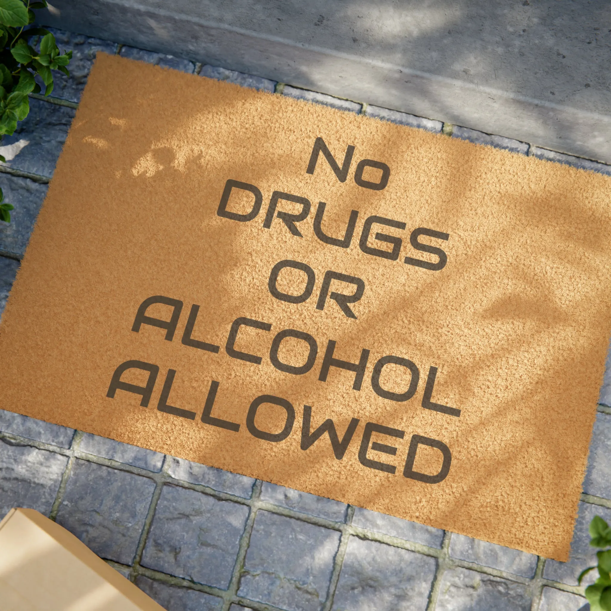 NO DRUGS OR ALCOHOL ALLOWED Doormat