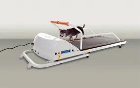 PetRun Small Breed Treadmill (PR710F)