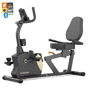 Recumbent Exercise Bike (2024) for Adults Seniors Home Cardio Workout and Physical Therapy